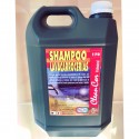 Shampoo Lavacarrocerías